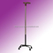 Walking Stick