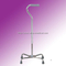 Walking Stick