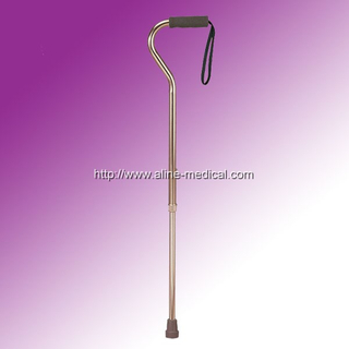 Walking Stick