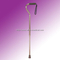 Walking Stick