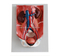 Urinary System Model
