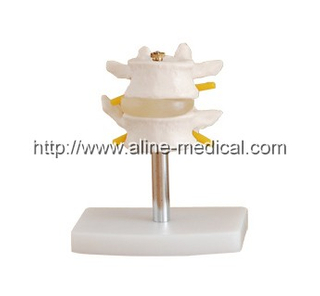 Lumbar Set(2 pcs)