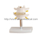 Lumbar Set(2 pcs)