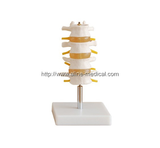 Lumbar Set (4 pcs)
