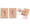 Vulva Suturing Training Simulator