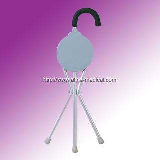 walking stick