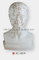 Life-Size Head Acupuncture Model