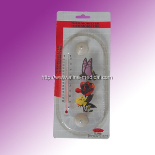 Indoor Thermometer