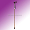 Walking Stick