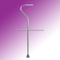 Walking Stick