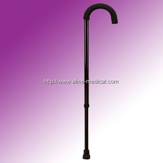 Walking Stick