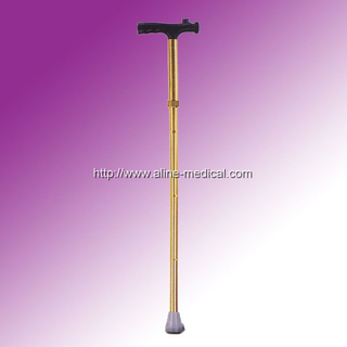 Walking Stick