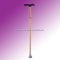 Walking Stick