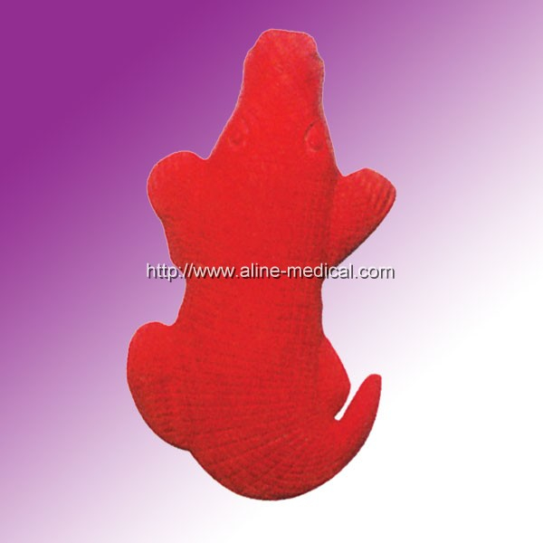 Hot water bottle
