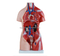 45CM Unisex Torso 23 Parts