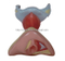 Female Internal and External Genital Organs