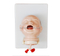 The Model of Newborn Intubation