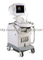DELUXE DIGITAL PORTABLE ULTRASOUND SYSTEM