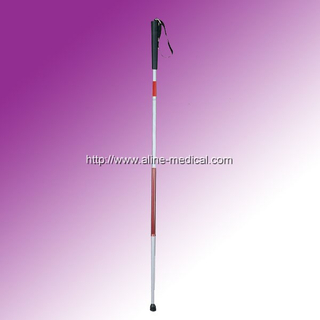 walking stick