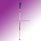 walking stick