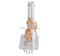 Life-Size Foot Joint with Ligaments