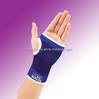 Palm guard