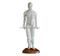 Acupuncture Model 46CM Male