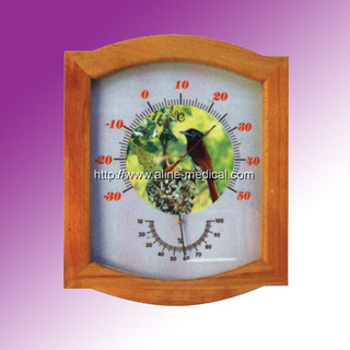 Family Thermometer
