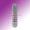 Indoor Thermometer (Plastics Series)