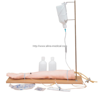 Injectable Training Arm Model (With Set)
