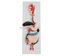 Digestive System