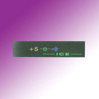 Refrigerator Temperature Piece