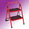 Steel ladders