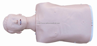 Half Body CPR Training Model (Male)