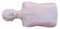 Half Body CPR Training Model (Male)
