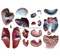 85CM Sexless Torso 20 Parts