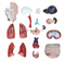42CM Sexless Torso 18 Parts