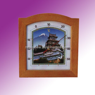 Family Thermometer