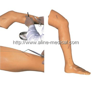 Advanced Suture Practice Leg
