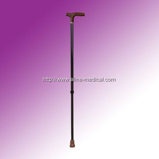 Walking Stick