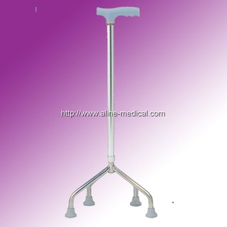 Walking Stick