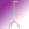 Walking Stick