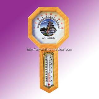 Indoor Thermometer