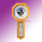 Indoor Thermometer