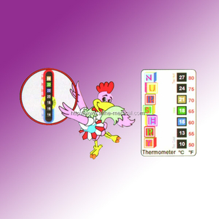 Room Thermometer Card