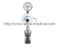 Vacuum Regulator