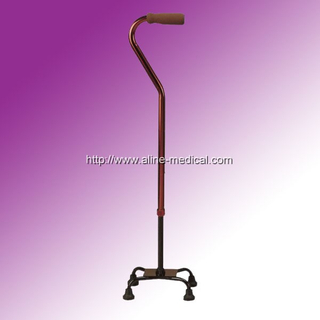 Walking Stick