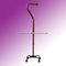 Walking Stick