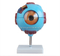 Giant Eye Model