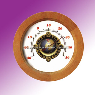 Family Thermometer